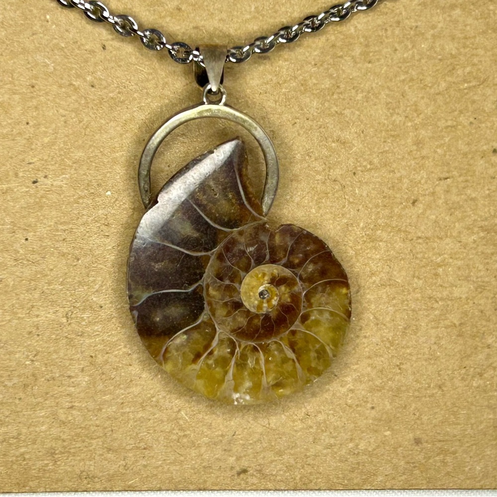 Ammonite Fossil Spiral Pendant Necklace
